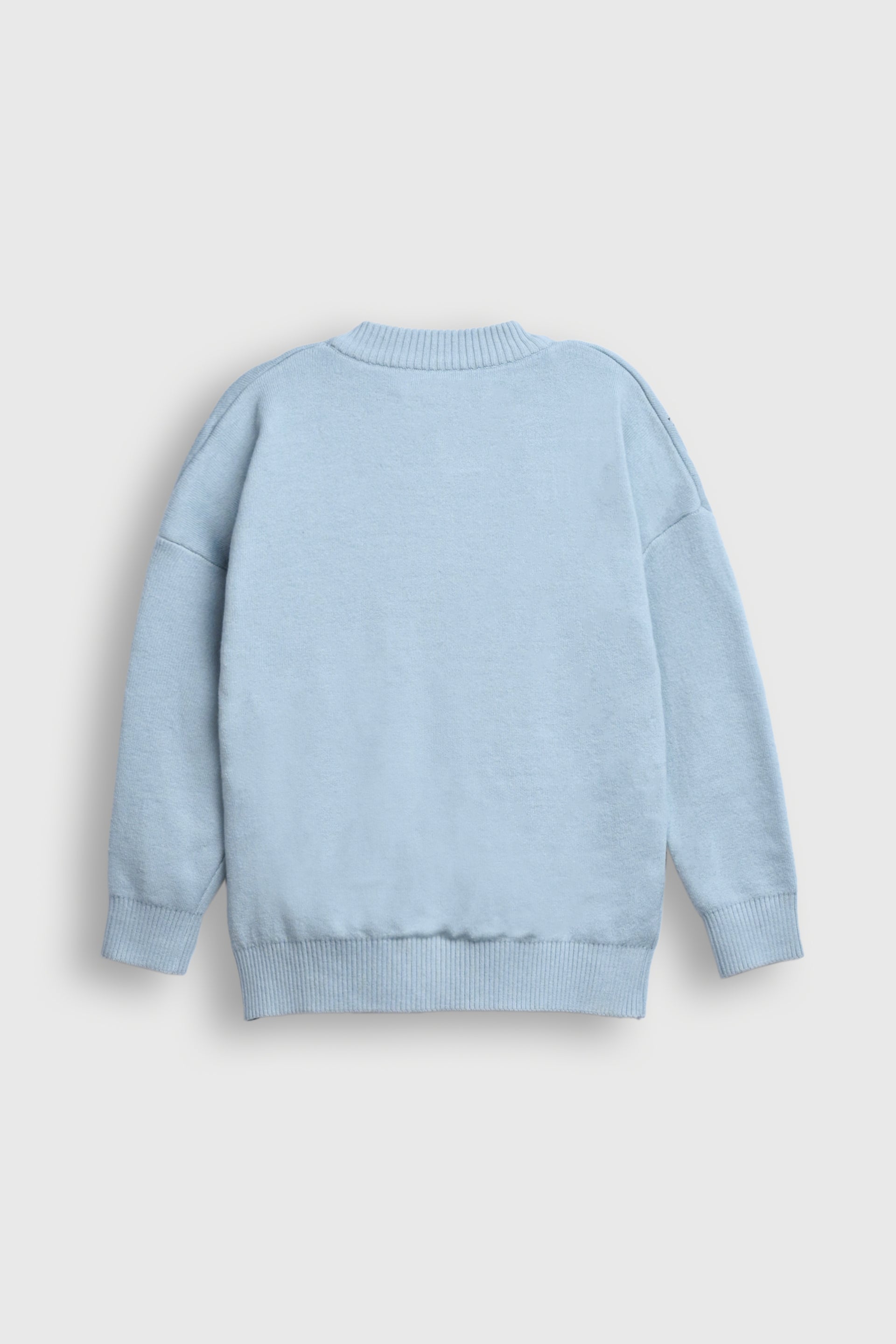 Pastel Blue Sweater with Embroidered Flowers Reality