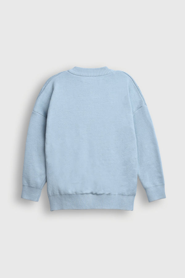 Pastel Blue Sweater with Embroidered Flowers Reality