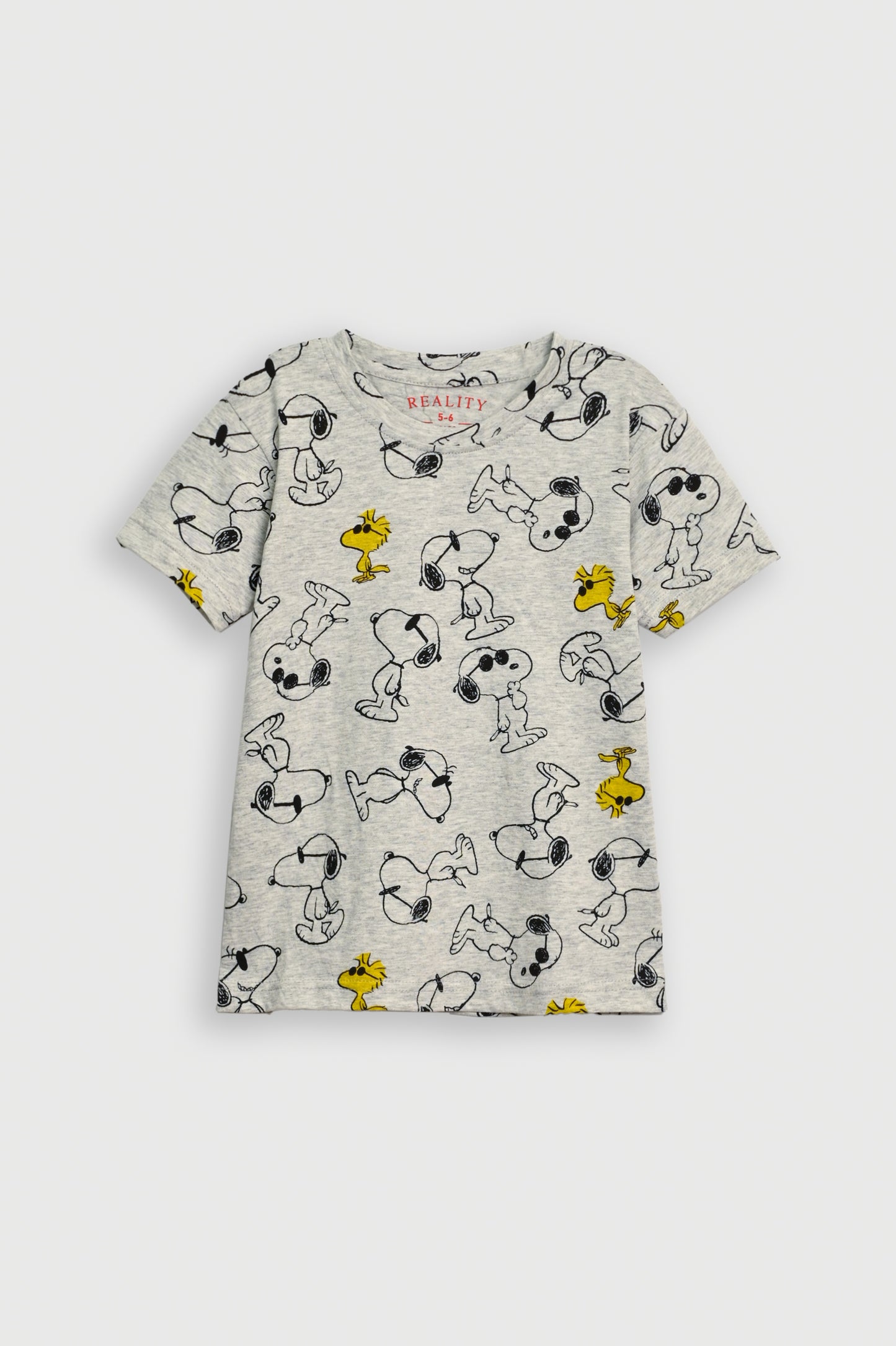 GRAY PRINTED T-SHIRT