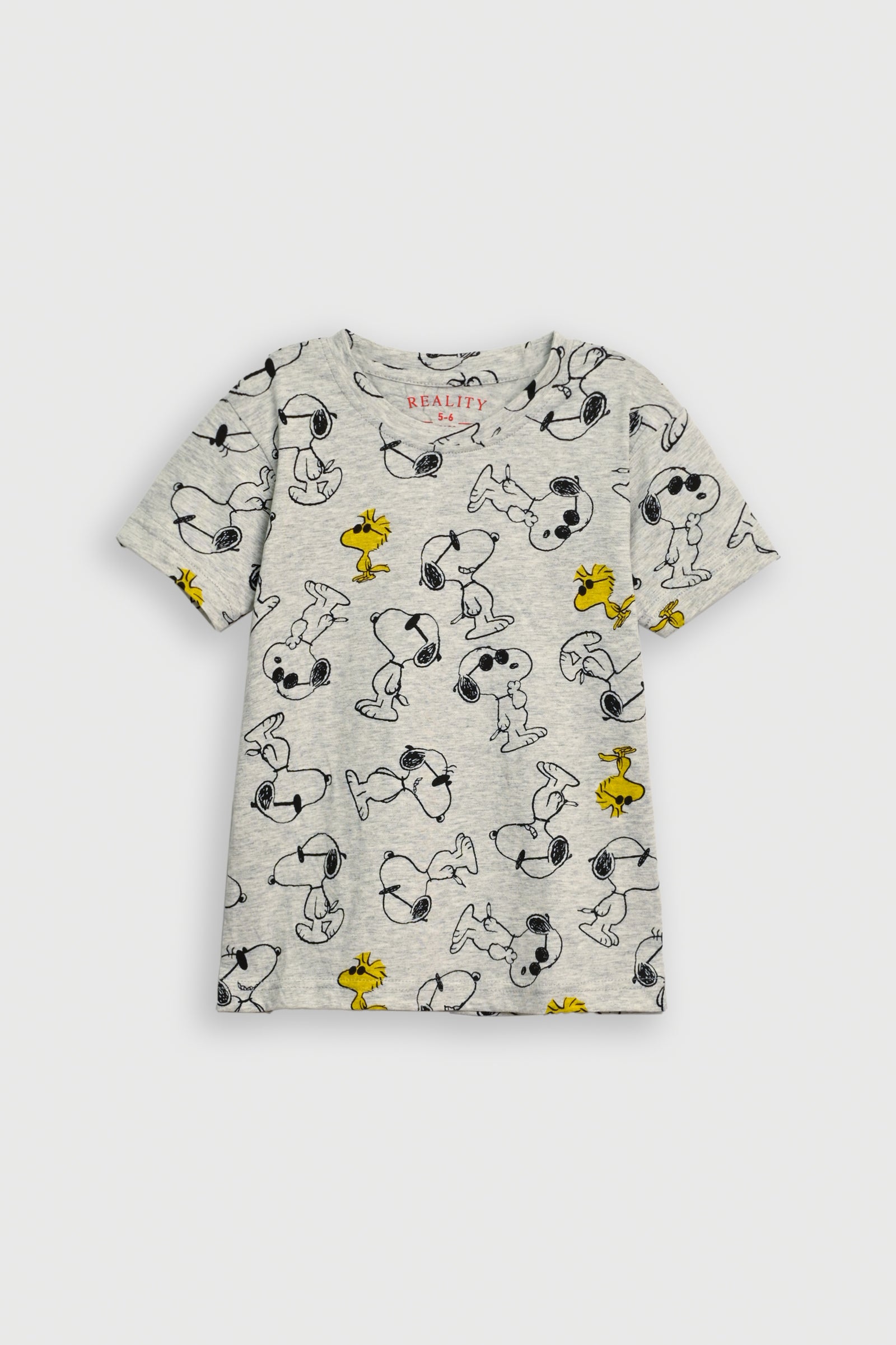 GRAY PRINTED T-SHIRT
