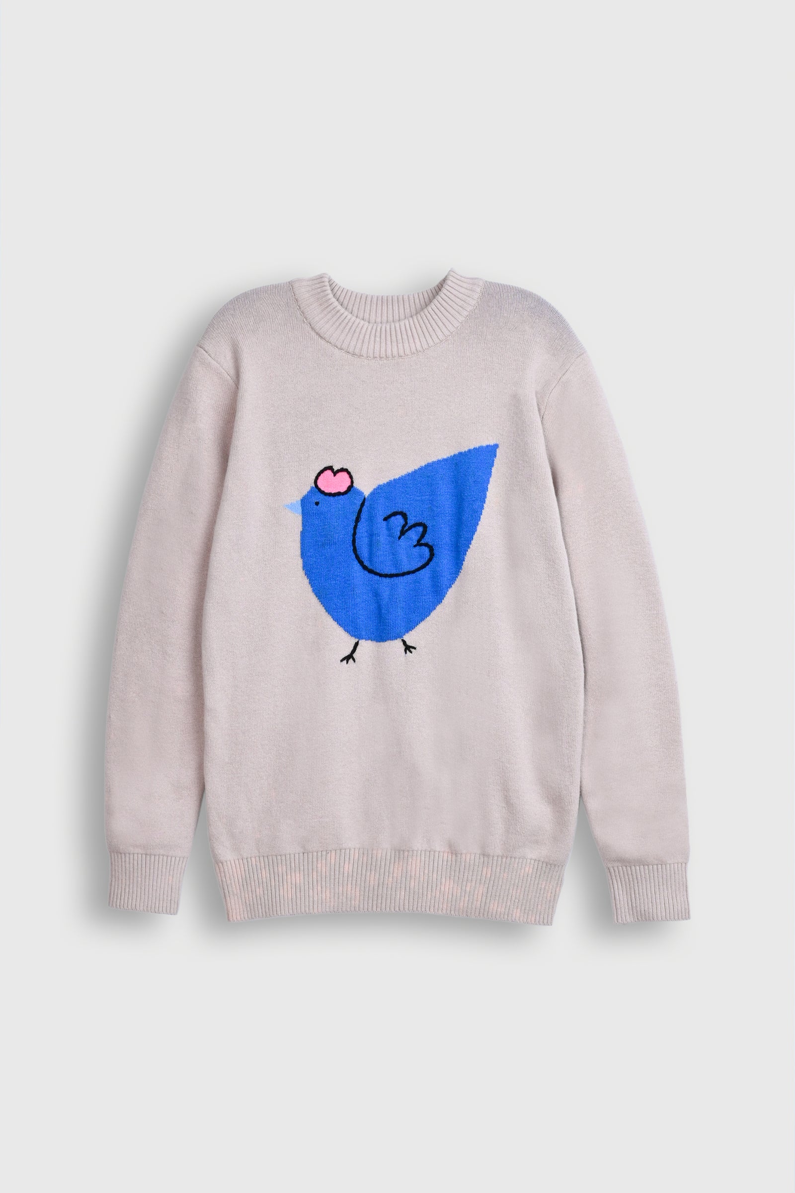 Beige Sweater with Blue Bird Graphic Reality