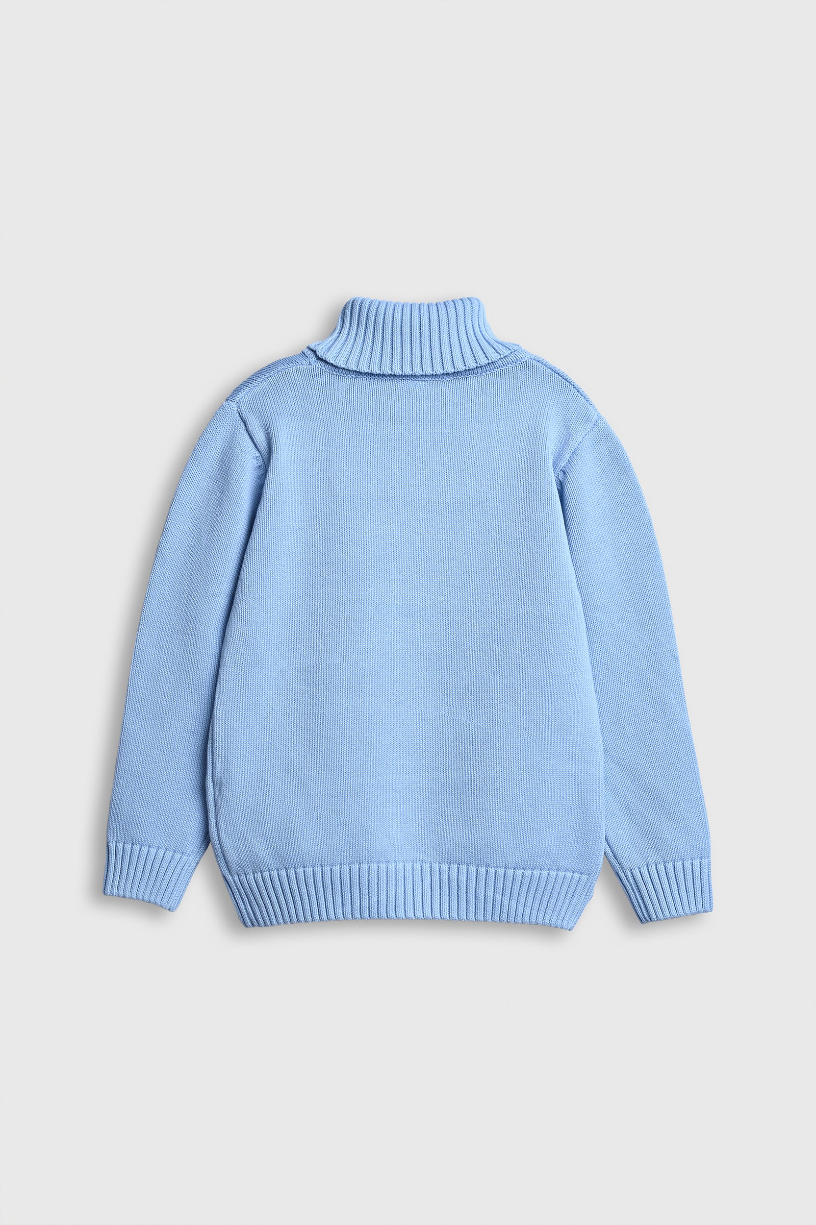 Winter Bear Turtleneck Sweater Reality