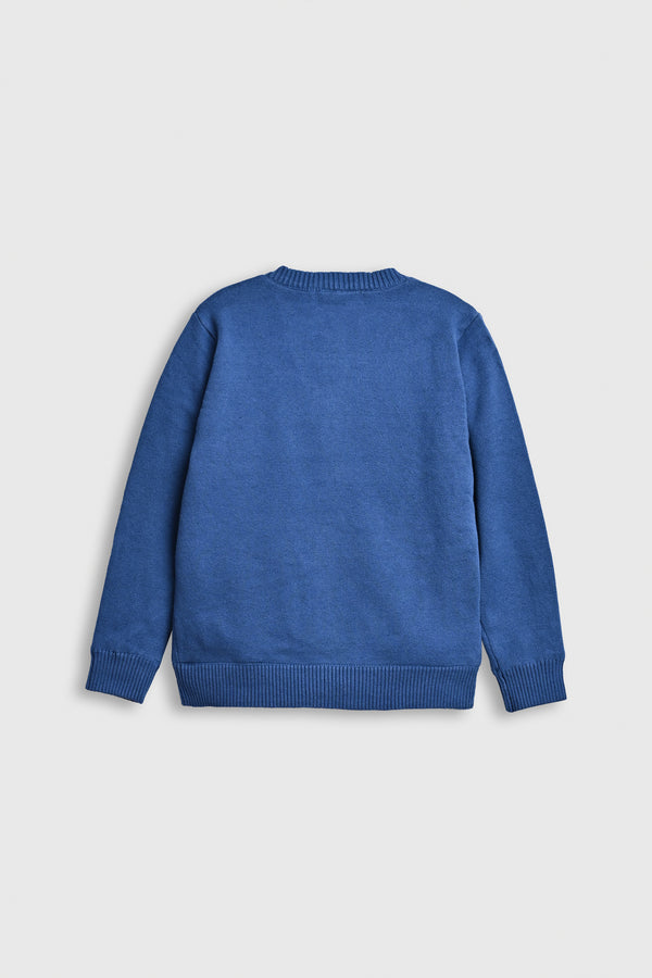 Bear Buddies – Button-Up Knit Cardigan Reality