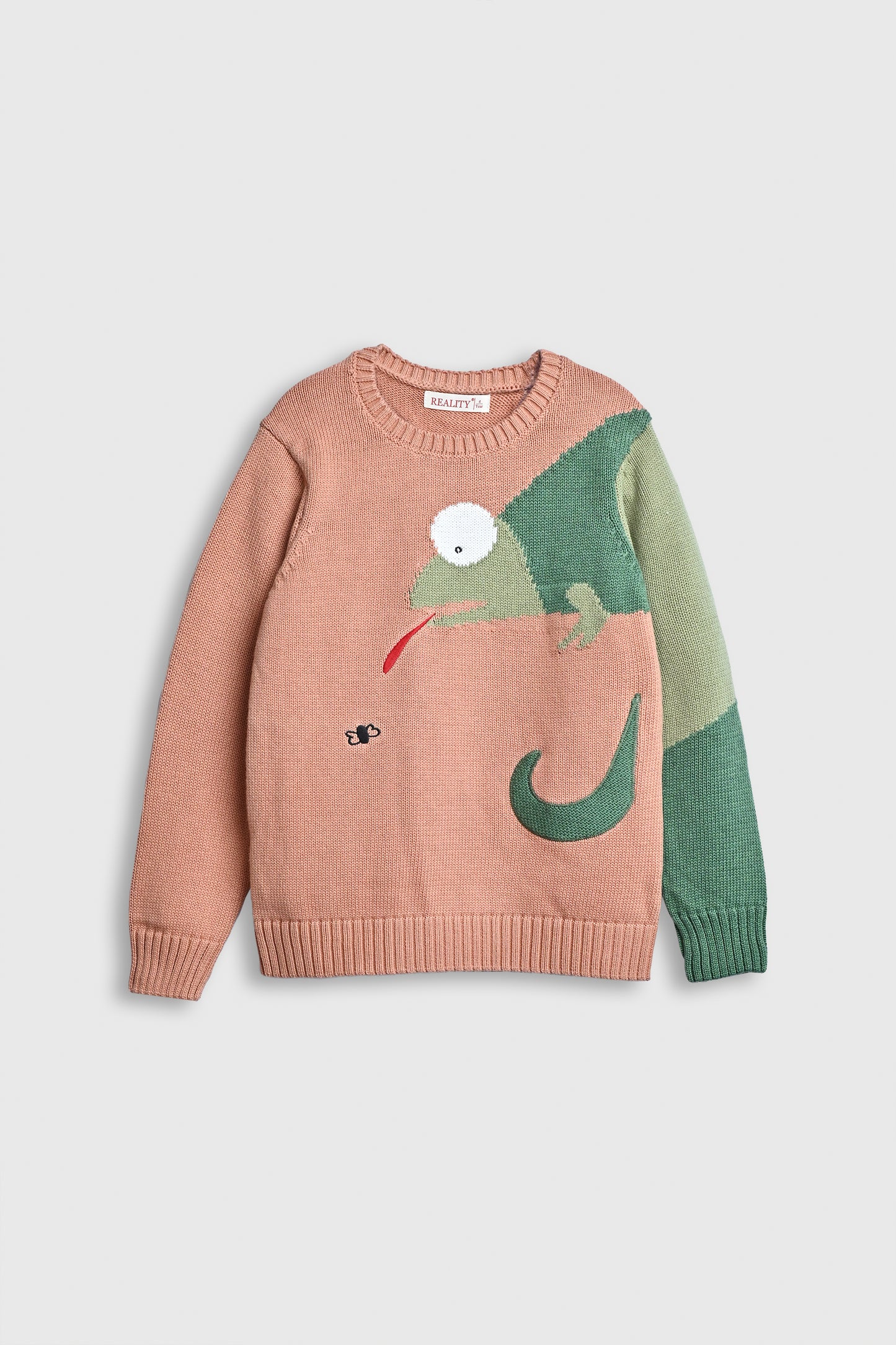 Chameleon Chase Sweater Reality
