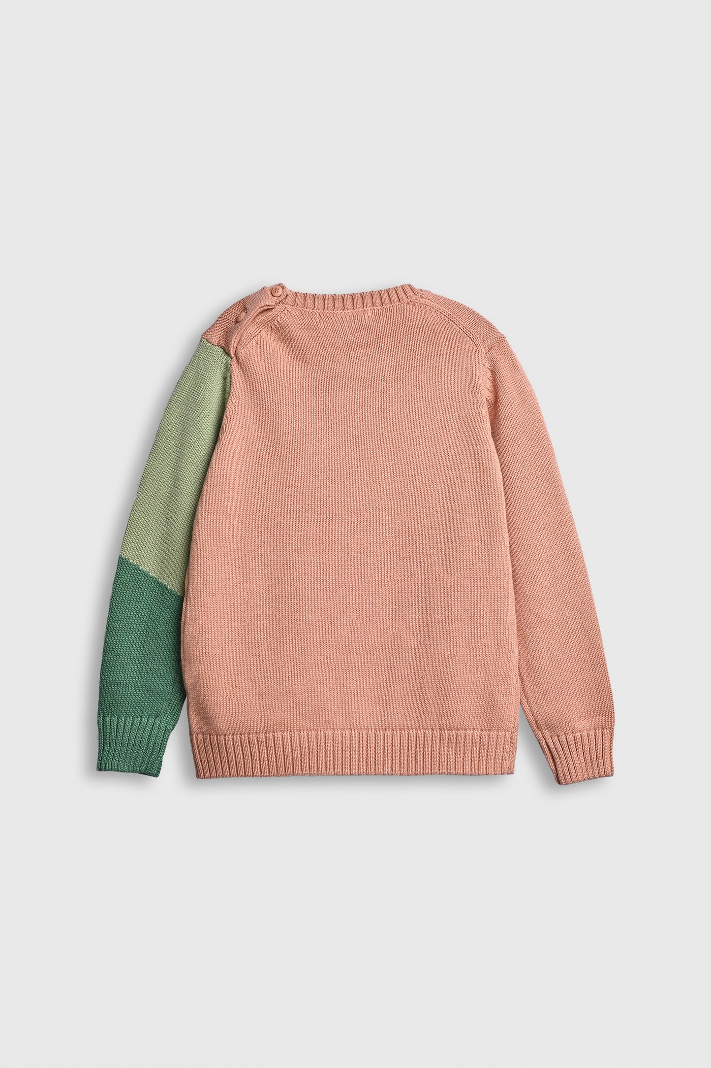 Chameleon Chase Sweater Reality