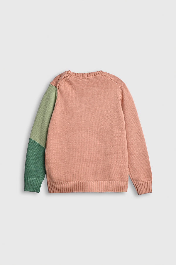 Chameleon Chase Sweater Reality